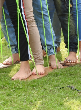 Team Building</br> Sessions